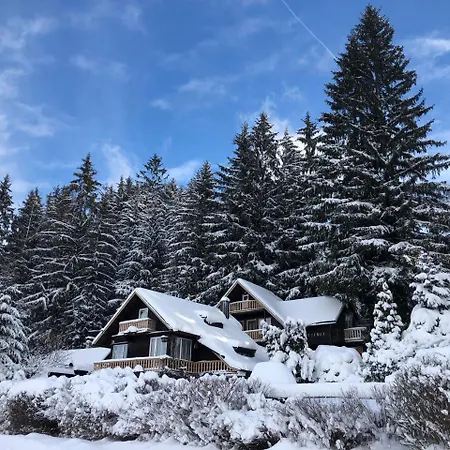 Jezevec * Hojsova Stráž