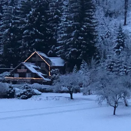 Apartament Jezevec *