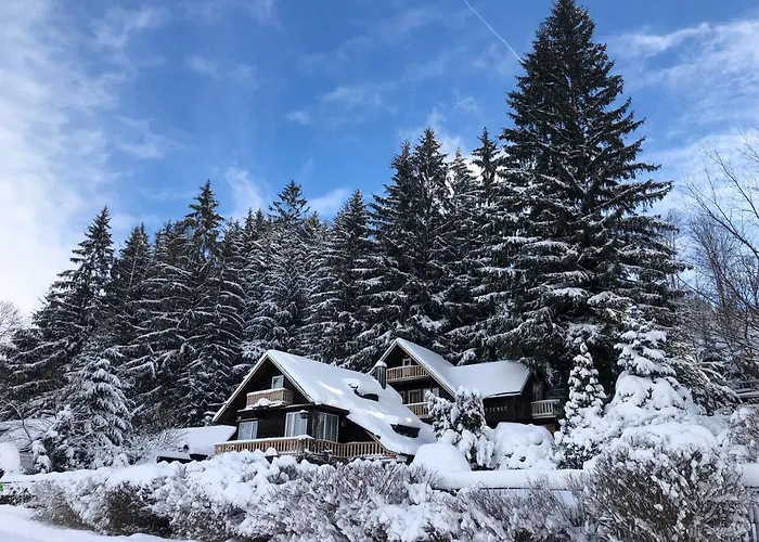 Jezevec * Hojsova Stráž